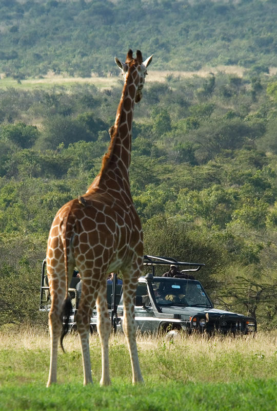 Sosian Lodge thumbnail 3